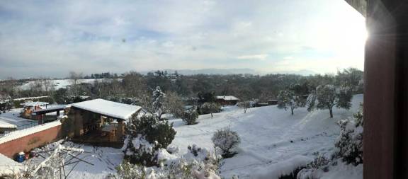Very unusual — lots of snow in Rome when we arrived. This is Lorenzo's parents' garden.